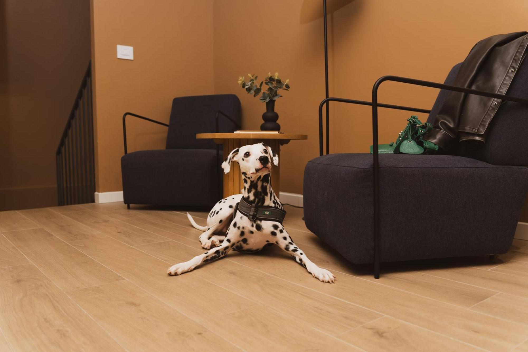 House Of Design Casati Bed and Breakfast Milaan Buitenkant foto
